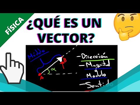 ¿QUÉ ES UN VECTOR? Y TIPOS DE VECTORES
