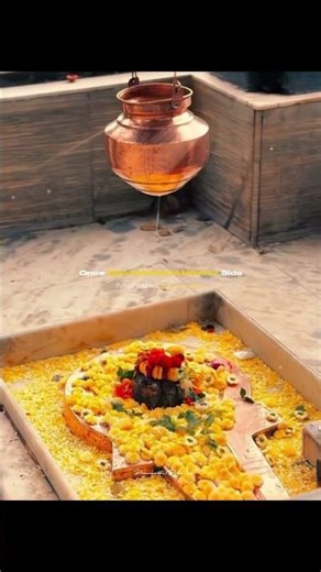 Brahmanandam motivation Manchi matalu (1/30) #shivayya🕉️🙏 #mahadev #iyogi #mahakumbh