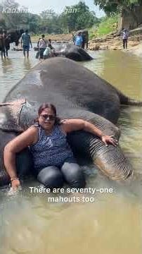 My First Time Bathing an Elephant in Sri Lanka! 🐘💦#Shorts” #travel #elephantbath #srilanka