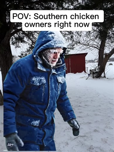 I was built for iced coffee, not ice storms 🐔 ❄️ #chicken #winterishere #fyp #viral #trending