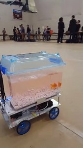 Aguário robótico. Ele se movimenta de acordo a direção que peixe nada. | Videos Incríveis