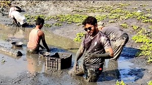 2.4M views · 151K reactions | গ্রামের বাড়ির একটা ডোবা থেকে লাখ লাখ...