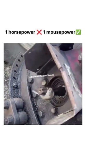 1 horsepower ❌ 1 mousepower ✅ #memes