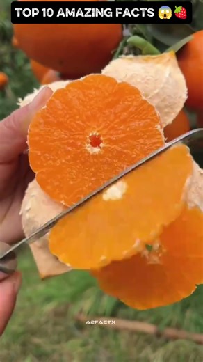 Top 10 amazing facts about food 🥑🥝#facts #shorts #healthyfood #foodshorts #amazingfacts #viral