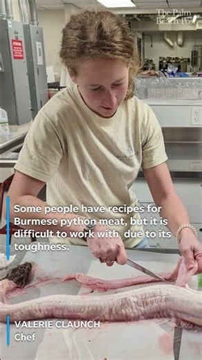 Florida python meat high in mercury but an occasional snack won't kill you