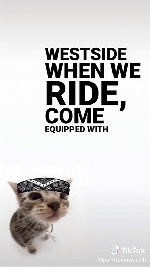 2Pac - Hit 'em Up | Gangster Doggy Singing | 2Pac Canciones