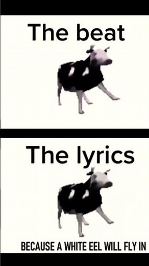 Dancing polish cow lyrics meaning #meaning #lyrics #shorts