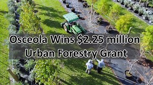Osceola County received a $2.25 million urban forestry grant from the U.S. Department of Agriculture’s Forest Service,. The project will address critical issues related to extreme heat and the unequal distribution of green spaces in disadvantaged communities. Over a span of five years, the focus will be on conducting a heat island study, correlating data with identified disadvantaged communities, and implementing strategic tree planting initiatives. Full story: www.osceola.org/news/osceola-count
