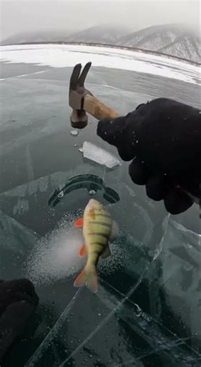 Frozen tension snapped open.AI-generated cinematic scene.#FrozenLife #AIGenerated