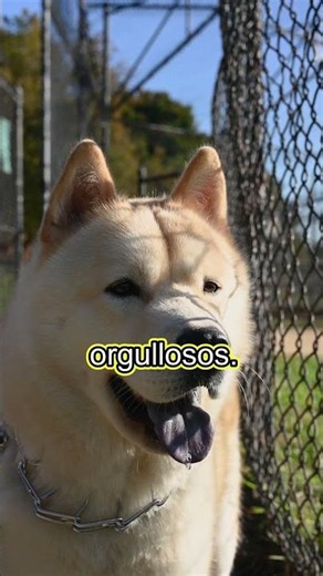 Ep3 Razas de Mundo