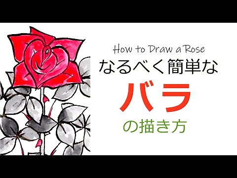 Easy way to draw roses | Spring roses 🌹 Autumn roses picture postcard illustrations | May, June, ...