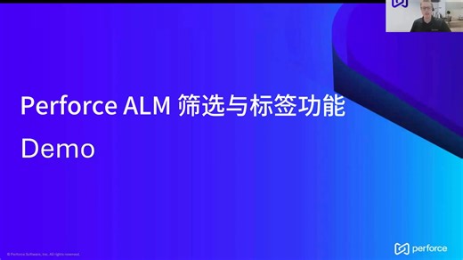 Perforce ALM 标签与筛选功能Demo演示