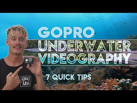 HOW to make the MOST out of YOUR GoPro UNDERWATER! | 7 quick tips