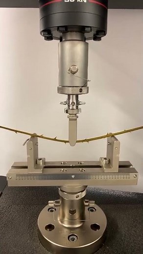 A 3-point Bending Test of Multiflora Rose Stem Using Instron Universal Testing Machine | Dr. Al-Zube