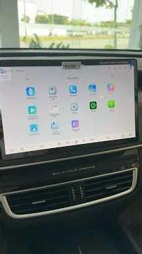 Instructions on using the virtual assistant feature on the BYD M6 model.