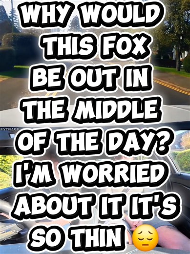 Mastering Driving Lessons with Expert Instructors