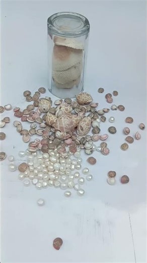 Ocean Shell Magic in Reverse 🌊 #shorts #usa #odlysatisfying #seashells