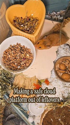 Aesthetic DIY Cloud Platform for Hamsters | Easy Enclosure DIY