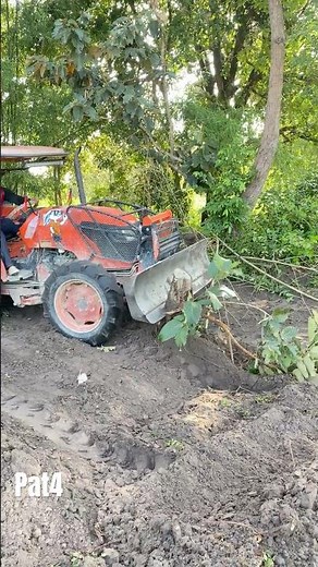 Powerful Tractor Uproots Tree with Ease | Land Clearing in Action!