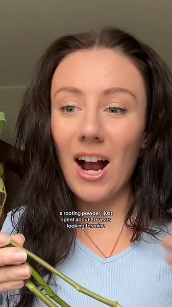 How to Grow Rose Plants from Stems: Step-by-Step Guide