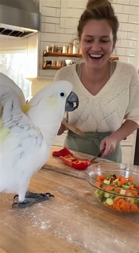 Sassin with house lady in Kitchen #kitchen #cockatoo l