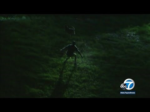 K-9 helps take down suspect after chase, standoff in Woodland Hills | ABC7