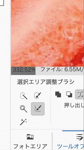 Photoshop Elements Quick Selection Tool #shorts #Photoshop Elements