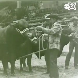 10K views · 285 reactions | Remember when the RODEOHOUSTON parade looked like this? 鸞 Looking forward to it this weekend! ABC13 will broadcast the parade with coverage starting at 9 a.m. on air and on the ABC13 Houston app. https://abc13.com/1220597 | ABC13 Houston | Facebook