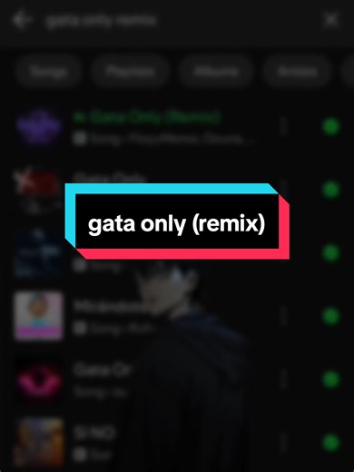 Gata Only Remix: Discover the Spanish Song Lyrics