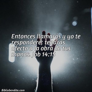 Explicación Job 14:15. 'Entonces llamarás y yo te responderé; tendrás afecto a la obra de tus manos.' - BibliaBendita