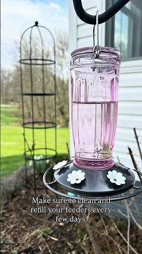 How to make your own hummingbird food at home using two ingredients!