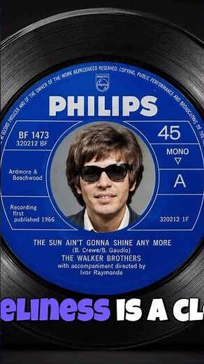 THE WALKER BROTHERS THE SUN AIN'T GONNA SHINE ANY MORE (LYRIC VIDEO)