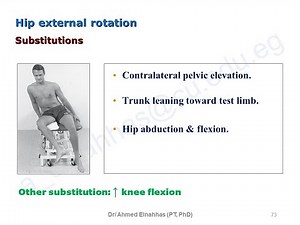 Manual Muscle Testing of the Hip