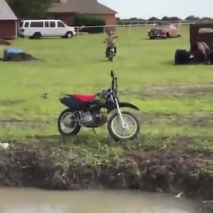 1.4K views · 12 reactions | Dinosaur Planet on Reels | Facebook