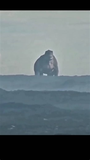 😱 Pahad Par REAL Godzilla Dikha2. Camera Ne Kya Capture Kar Liya? 😳