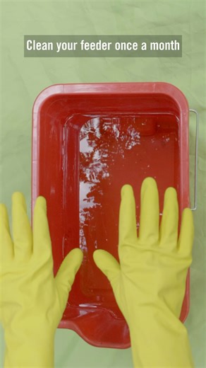 42K views · 120 reactions | Spring cleaning? Don’t forget your feeders. Our new Cleaning Brush is here — and it works beautifully with all our feeders. #BirdFeederCleaning #SpringCleaning #Brome | Brome - Squirrel Buster | Facebook