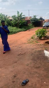 945K views · 10K reactions | So they tie this fowl | Achikolo Ghostmood tv | Facebook
