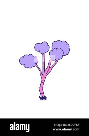 stretching up animation of cartoon sparse tree Stock Video Footage - Alamy