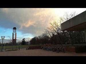 University of Illinois at Urbana Champaign (UIUC) - Undegrad library and McPhaland Carillon