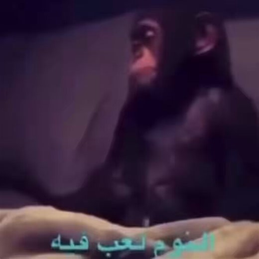 حاليا مابي الويكند يفوتني