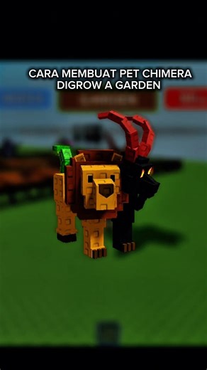 TUTORIAL CARA MEMBUAT PET CHIMERA DI GROW A GARDEN #growagarden #growagardenroblox #roblox