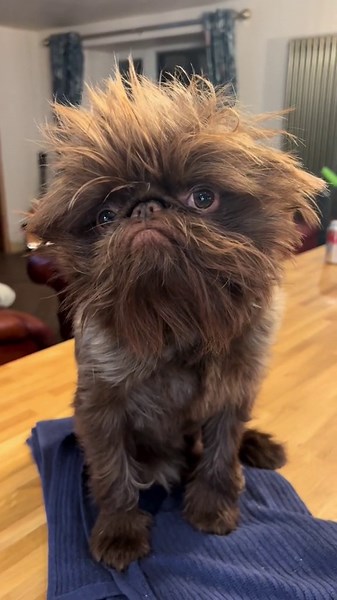 Who Else Can Relate?