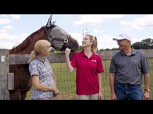 A Visit to Racing for Home with Acacia Clement