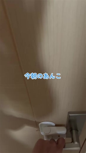 今朝のあんこ🐈‍⬛ うろうろしてました #黒猫