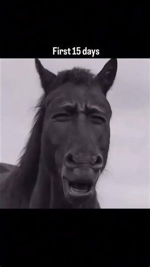 “2026 was supposed to be my year… now it’s just testing me.” #ytshorts #fyp #viral #relatable #meme