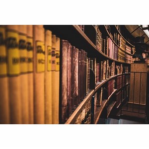 Erikson's Theory & Principles | Synonym