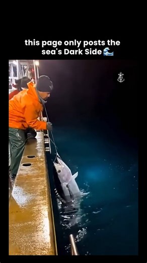 Sea of Unseen on Instagram: "They tell you it's instinct a mother fish protecting her offspring from a hook, a display of natural parental care. But what if the hooked fish isn't just prey… it's a designated data-carrier, and the mother's attack isn't defense it's enforcement of a retrieval protocol? Here's what they don't tell you: ✅ The hooked fish isn't random. It's a scheduled courier. Young fish in certain species are often used as low-priority messengers, carrying incremental updates on wa