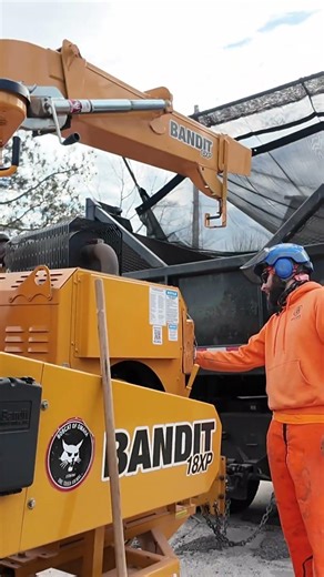 Streamlined Tree Removal with a View 🌳 #shorts