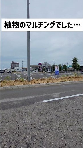 イオンに出現した謎の牧草の正体は…植木を守るためだった！？イオンスタイル福井開発
