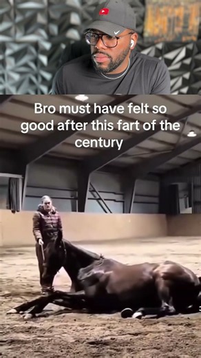 bro had that stored for YEARS 💨 #funny #horse #viral
